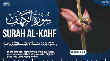 سورة الكهف تلاوة خاشعة تلامس القلوب وتبعث الطمأنينة والراحة | Surah Al-Kahf Heart-touching Quranic