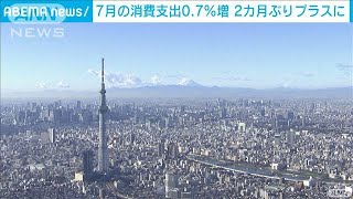 7月の消費支出、前年比0.7％増　2カ月ぶりプラス(2021年9月7日)