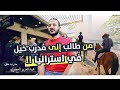 من طالب الى مدرب خيل في استراليا | #قصة عبدالعزيز العطوي #وثائقي