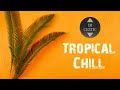 Tropical Chill Summer Mixtape | Reggaeton & Dancehall | DJ Celtic