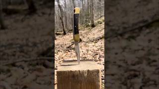 World’s Best Pocket Knife #shorts #tools #camping