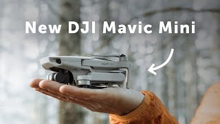 DJI Mavic Mini Hands-On Review - Can You Get Cinematic Footage?