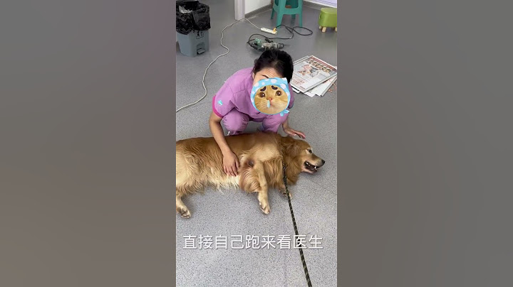 带它上厕所不小心踢了下它的脚。它直接跑宠物医院来了，看见宠物医生一顿嚎，还用一脸奸计得逞偷偷瞄我，搞得好像它受了天大的委屈一样#金毛 #狗狗搞笑视频#狗狗看医生