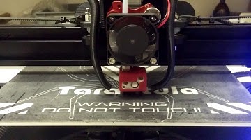 Tevo Tarantula with Flexion extruder - first print