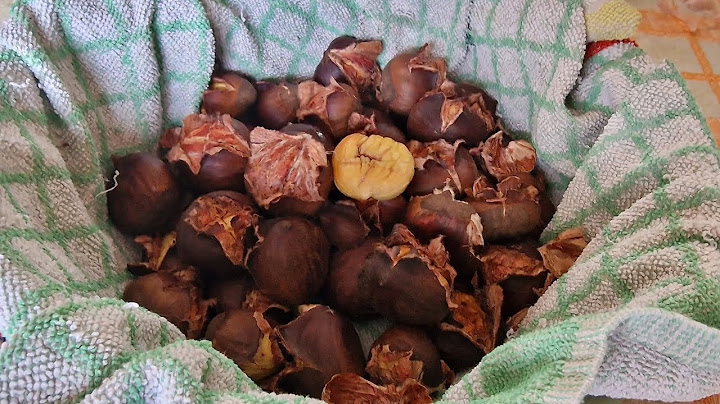 Castagne in friggitrice ad aria