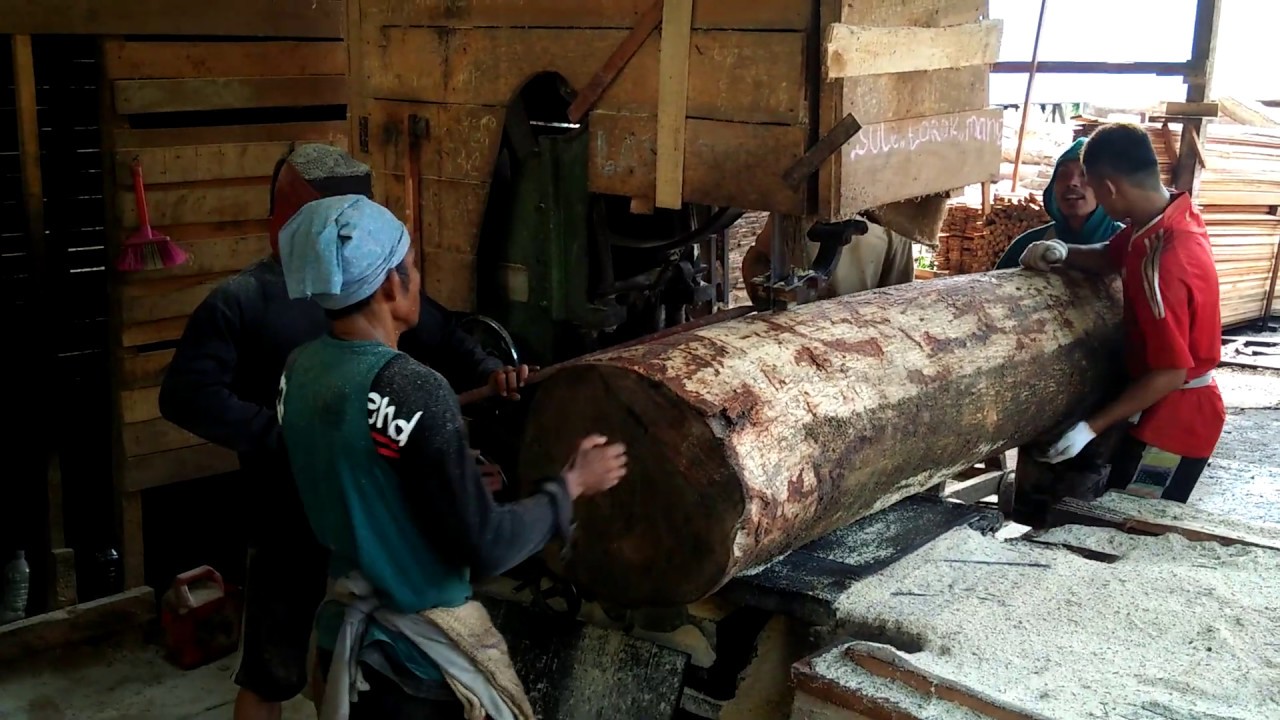 BEGINI JADI NYA MENGGERGAJI KAYU  BESAR DENGAN  MEJA  KECIL 