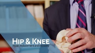 The Normal Knee | Arthroscopy by HipandKneeTV 1,042 views 10 years ago 1 minute, 47 seconds