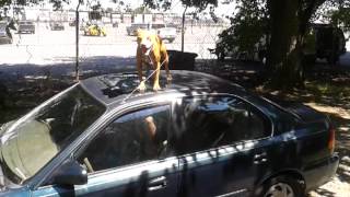 Rose 5050 Redboy Jockio Bolio