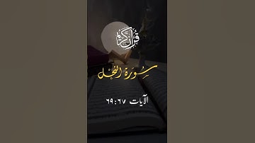 وأوحى ربك إلى النحل || سورة النحل#ادريس_ابكر