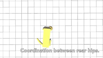 Evolution of Symmetry Between Joints