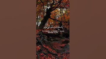 سورة الجاثية الآيه 7 بصوت الشيخ ياسر الدوسري "وَيْلٌ لِكُلِّ أَفَّاكٍ أَثِيمٍ"