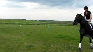 MVI_7489.AVI