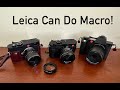 Three Ways to Shoot Macro Photography on Leica: Q2, M, SL2-S