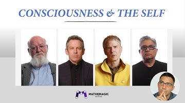 Experts from 4 Different Fields Define Consciousness | Mathematician Reacts