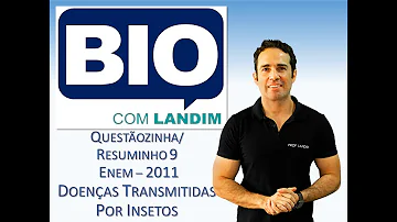 Qual foi a cura para a gripe espanhola?