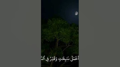 (وَلَقَدْ آتَيْنَا دَاوُوْدَ مِنَّاْ فَضْلَاً)🌼، القارئ الشيخ/ناصر القطامي🌻🌹