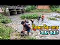 ডোবা সেঁচে মাছ ধরা 🎣 | দেশী মাছ ধরা। Fishing in Bangladesh। Free Minder