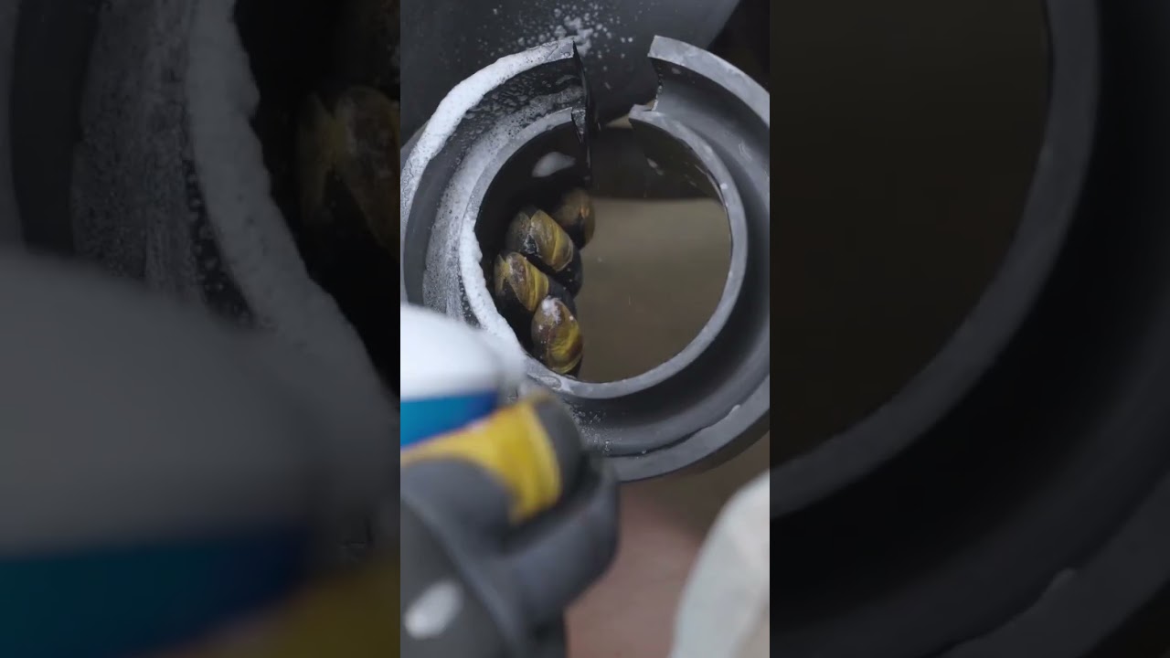 RAV4 suspension upgrade! Easy DIY Install!