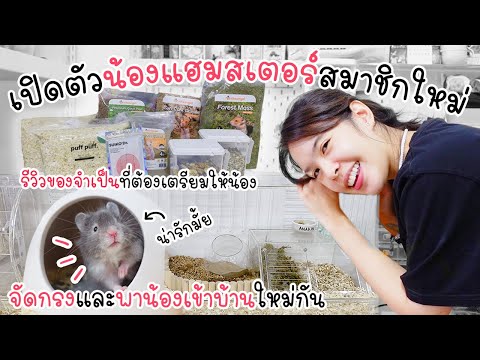 เปิดตัวน้องแฮมสเอตร์ !!! รีวิวของ จัดกรง พาน้องเข้าบ้าน !! 🐹💕