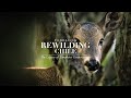 Fundacin rewilding chile the legacy of tompkins conservation