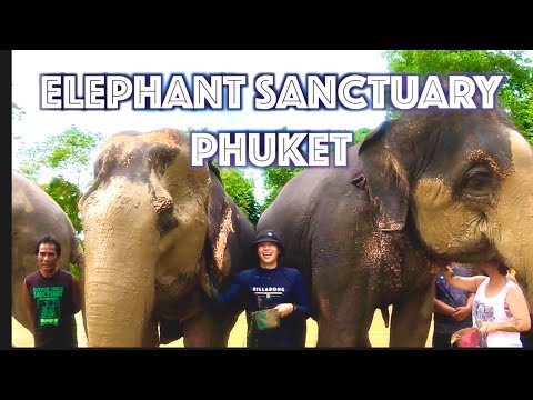 푸켓 여행 VLOG Part II: Elephant Sanctuary / 코끼리와 목욕 체험. 안했으면 어쩔뻔? Magical time with elephants. thumbnail