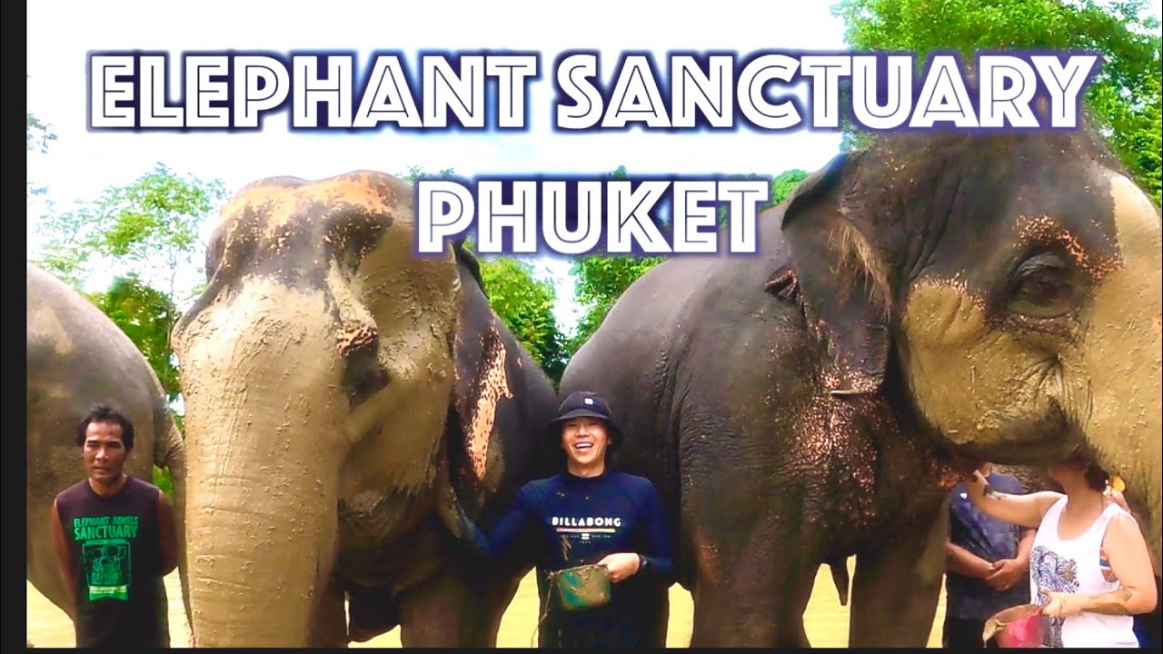 푸켓 여행 VLOG Part II: Elephant Sanctuary / 코끼리와 목욕 체험. 안했으면 어쩔뻔? Magical time with elephants.