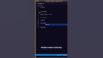 Learn Bhai Language in 1 min - 🔥😂 - bro code 👨🏻‍💻 tutorial  #bhailang