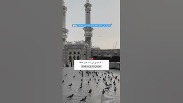 سوره الاحزاب 💫❤||آيات قصيره🌿🤍||تلاوه خاشعه 🌟||حالات واتس اب💥دينيه|| 💯#قران_كريم