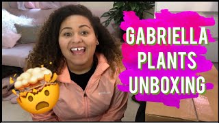 SUPER RARE Gabriella Plants Unboxing!