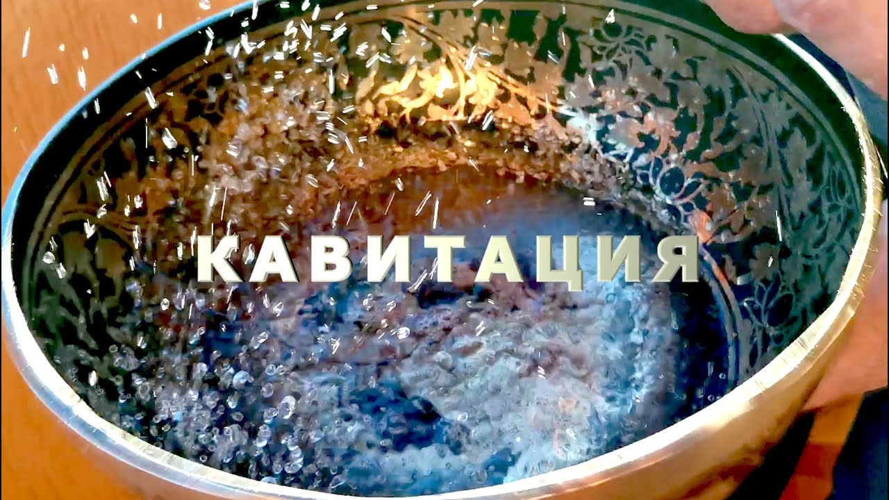 У КАЖДОГО ТЕЛА СВОЯ ПЕСНЯ