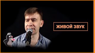 Здравствуй, чужая милая ♫ Солодуха ♫ Новый караоке кавер