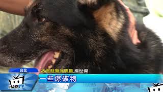 20171008中天新聞 揭密故宮最神秘單位! 警犬組夜間守護國寶