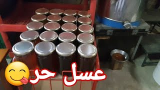 العسل الأصلي الحر الطبيعي