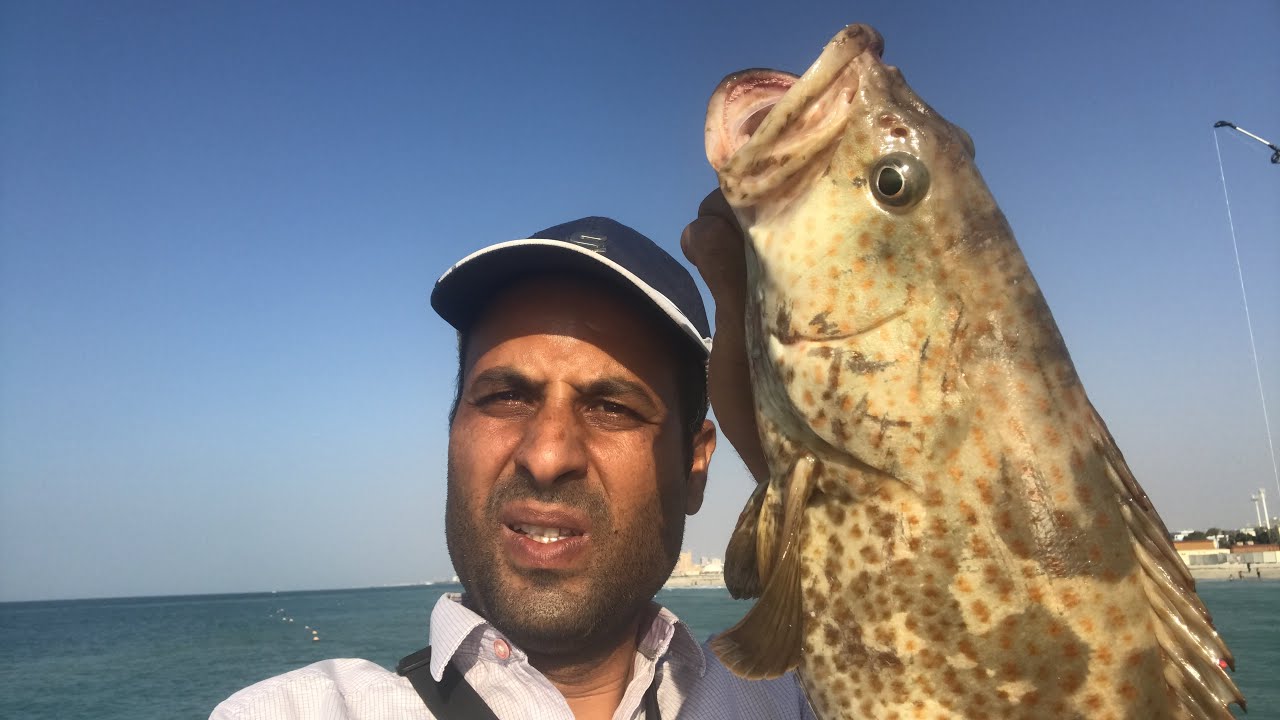 صيدالاسماك الهامور في بحر الشارقة fishing in sharjah YouTube