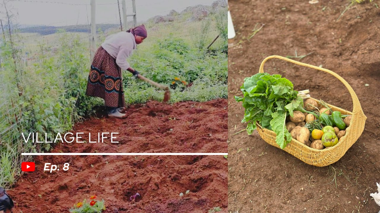 Village life Ep8/ Slow living in the village