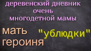 Деревенский дневник очень многдетной мамы.Мать героиня.Ублюдки,зайчики и умные. Подаяния от зрителей