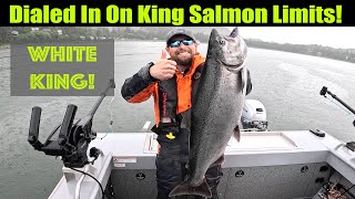 Like Clockwork! Dialed In on King Salmon Limits! Alaskan King Salmon Fishing - Juneau, Alaska!