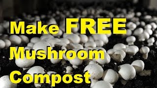How To Grow Mushrooms & Make Mushroom Compost at Home for FREE!
