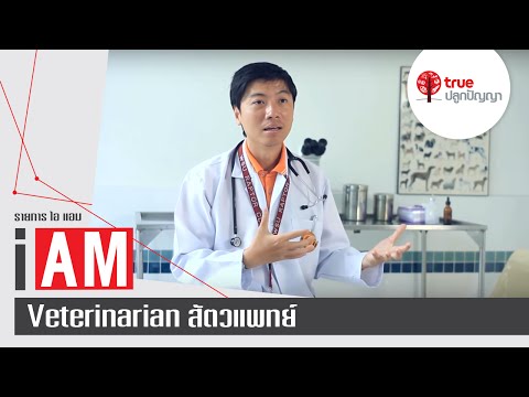 วีดีโอ: สัตวแพทย์พูด
