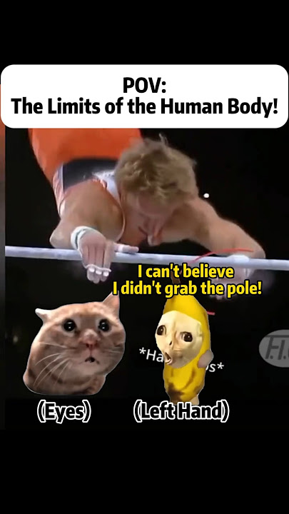 CAT MEMES 😺The limits of human body #catmemes #relatable #relationship