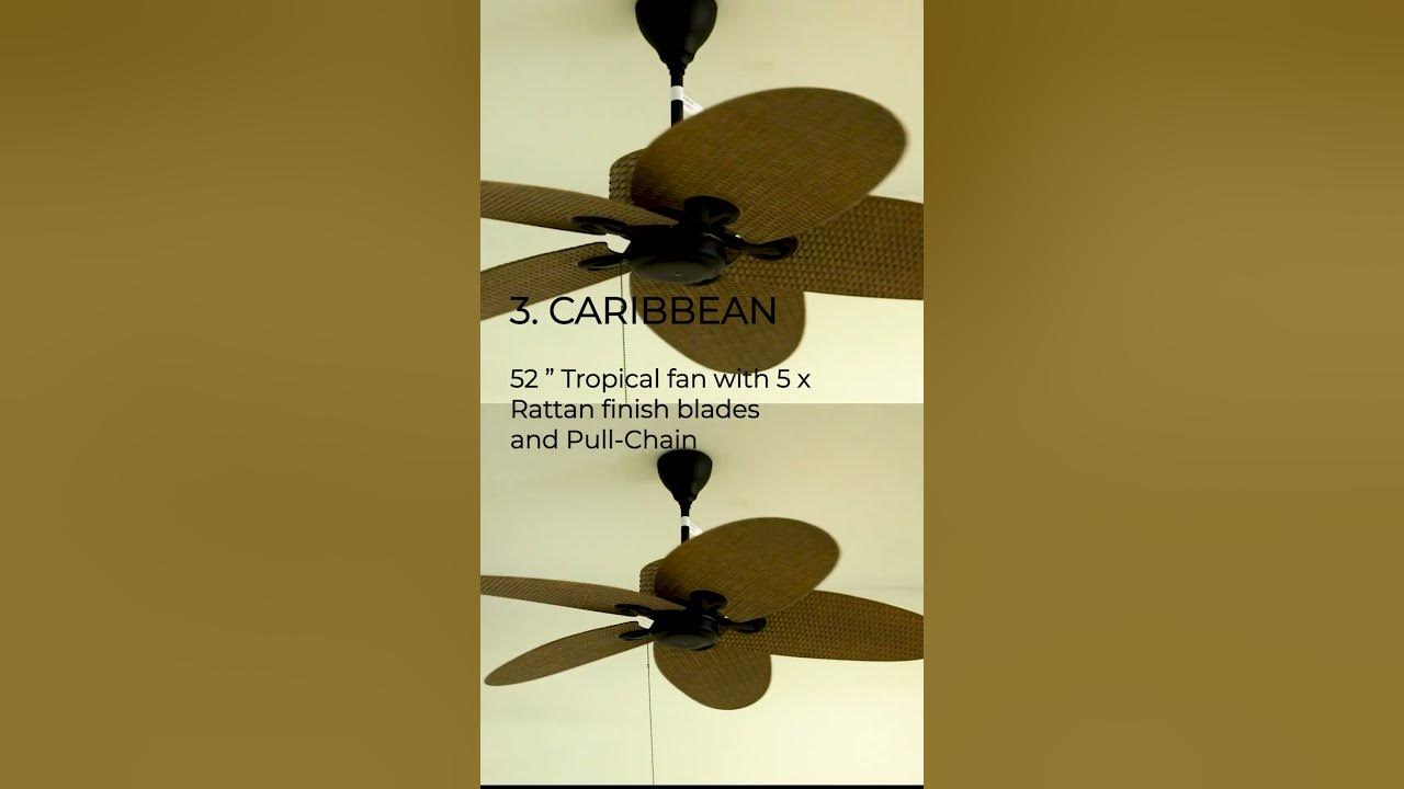 top-3-tropical-designer-ceiling-fans-in-india-luxurydecoration-with