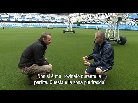 Video: Consumo Di Semi Di Prato: Quanto è Necessario Per 1 M2 E Per Cento Metri Quadrati? Dose Di Semina Prato, Calcolo Del Numero Di Semi In Kg. Per Quanta Terra Hai Bisogno Di 1 Chilogr