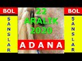 21 Ocak 2021 TJK Şanlıurfa 🏇 at yarışı tahminleri altılı ...