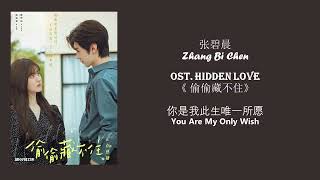 You Are My Only Wish 你是我此生唯一所愿 by Zhang Bi Chen 张碧晨 HIDDEN LOVE OST 《偷偷藏不住》[CHN|PINYIN|ENG Lyrics]