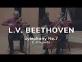 Beethoven, Symphony 7 - II. Allegretto (arr. for Piano Trio)