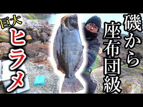 釣り よ か で しょう まりも