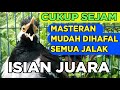 Suara jalak suren gacor full isian terbaik untuk pancingan masteran semua burung jalak cepat gacor