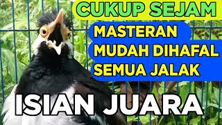 SUARA JALAK SUREN GACOR FULL ISIAN TERBAIK UNTUK PANCINGAN MASTERAN SEMUA BURUNG JALAK CEPAT GACOR screenshot 2