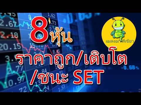 20 02 64 รวยด้วยหุ้น : 8 หุ้นราคาถูก เติบโตต่อเนื่อง ชนะSET INDEX