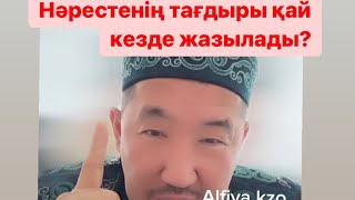 видео: Әйелдің қадірімен құрметі. Алладан қайырлы нәрсе сұрау. Шамиль Аляутдинов .Нурлан имам Нұрлан .ұағыз картинка: Әйелдің қадірімен құрметі. Алладан қайырлы нәрсе сұрау. Шамиль Аляутдинов .Нурлан имам Нұрлан .ұағыз